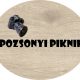 Pozsonyi Piknik